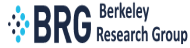 Berkeley Research Group